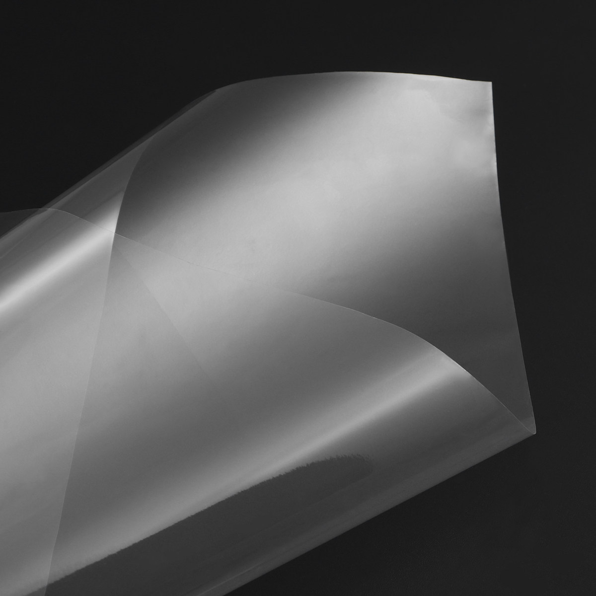 10M X 54Cm Clear Cellophane Wr - Cellophane Wrap Clear 评论和价格