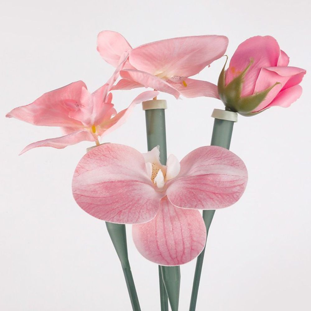 Floral Preservative Tubes Tran - Florist Supply Shop 评论和价格